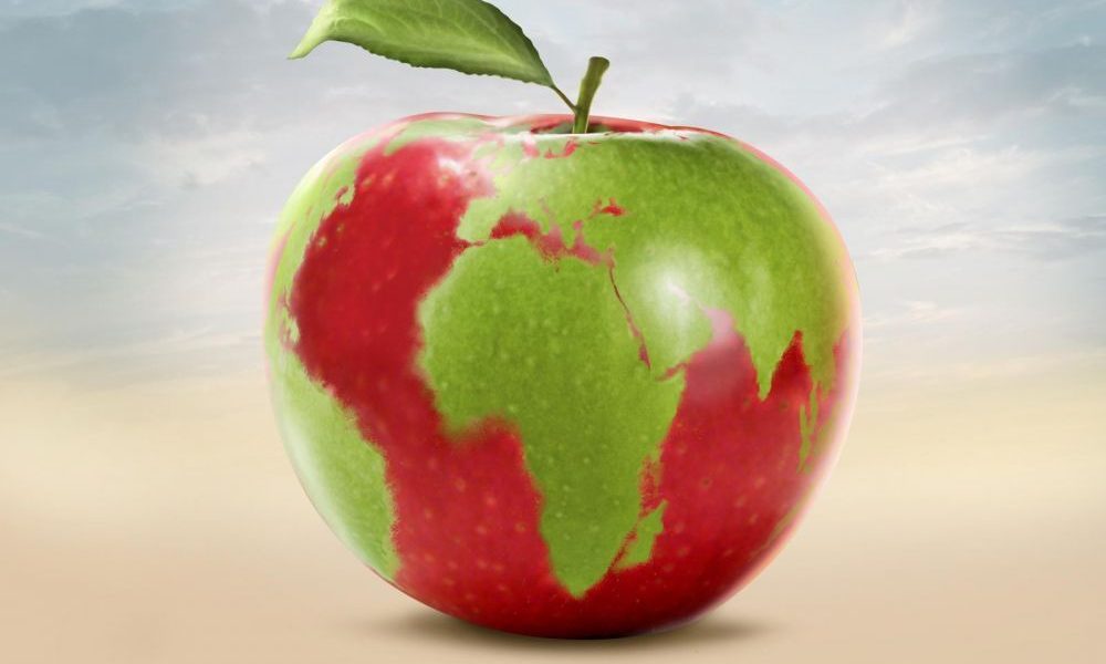 cover r4x3w1000 5c3f4c741ebc1 regime revolution alimentaire mondiale universel nutrition environnement sante lancet experts